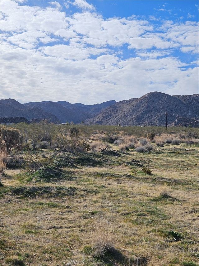 Cottonwood Drive, Joshua Tree