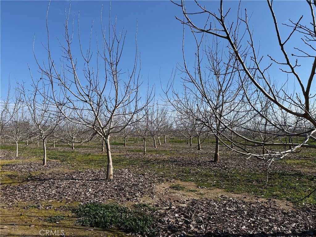 Photo of Listing #SN26027741