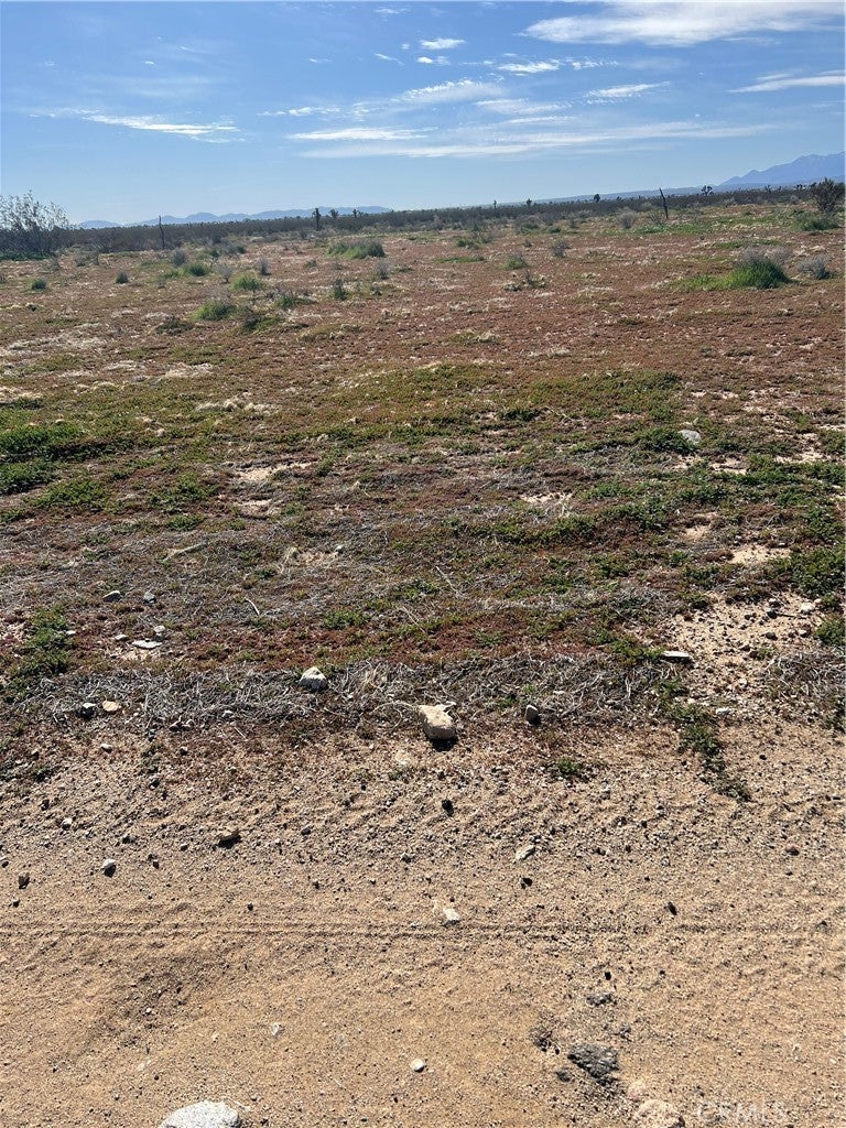 Photo of Listing #IG26027756