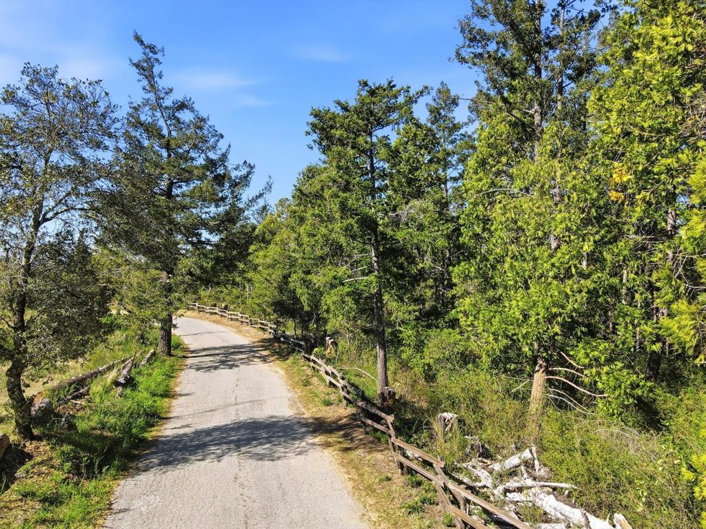 Photo of Listing #ML82034134