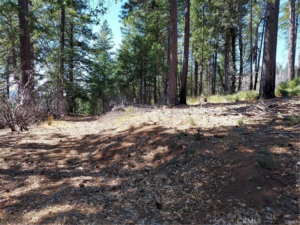 Photo of Listing #LC26027912