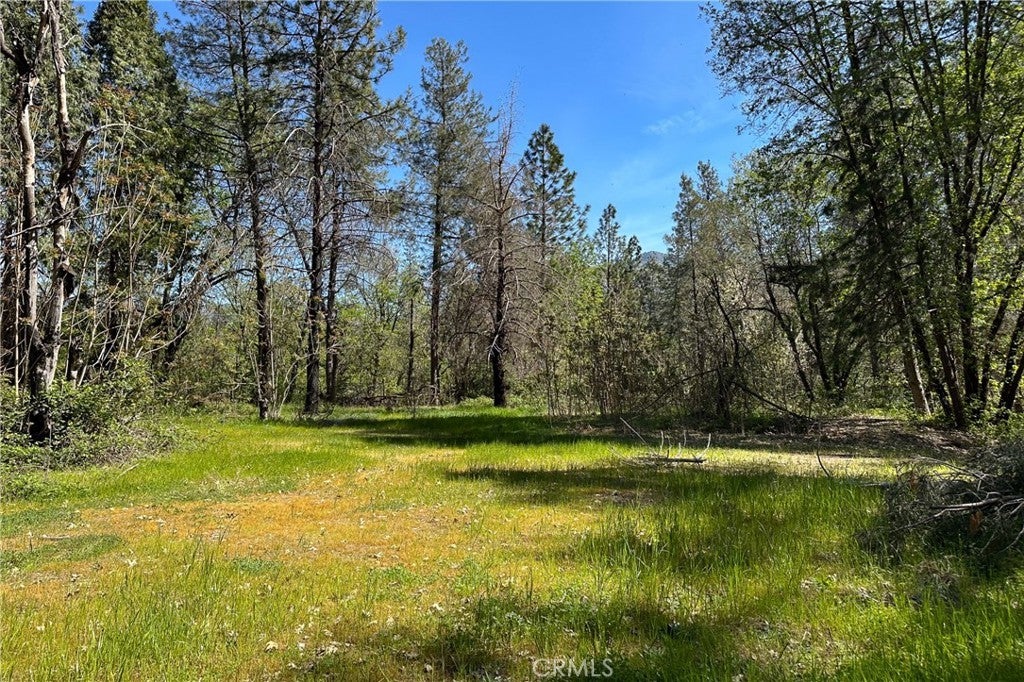 Photo of Listing #IV26028984