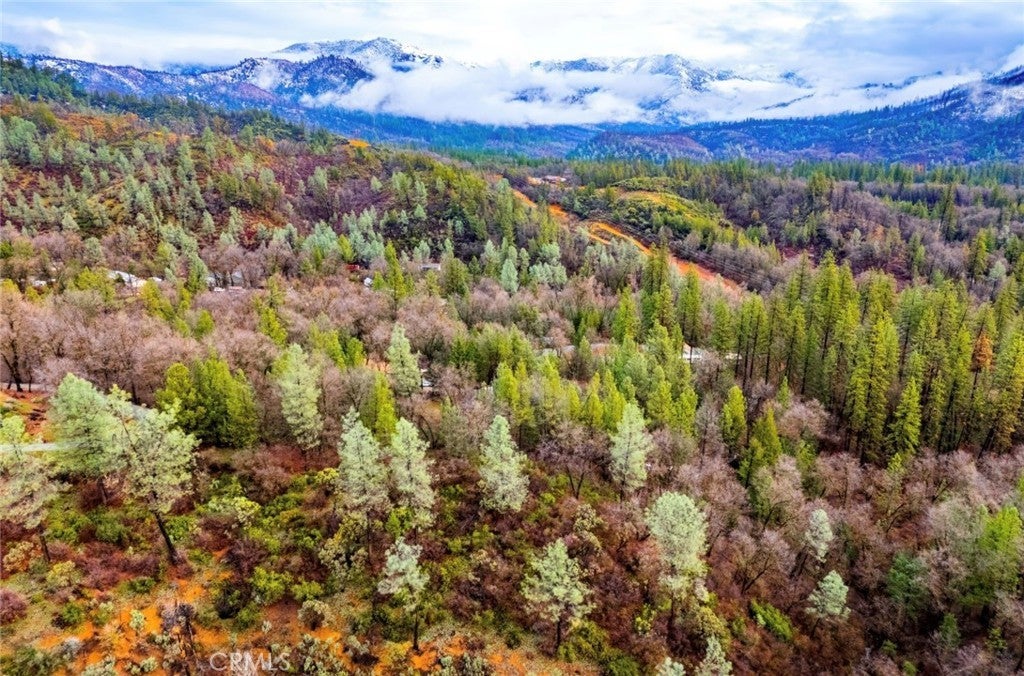 Photo of Listing #IV26028984