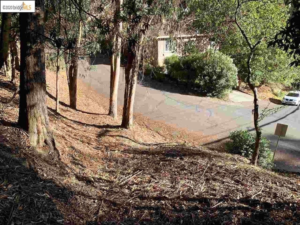 Photo of Listing #41123420