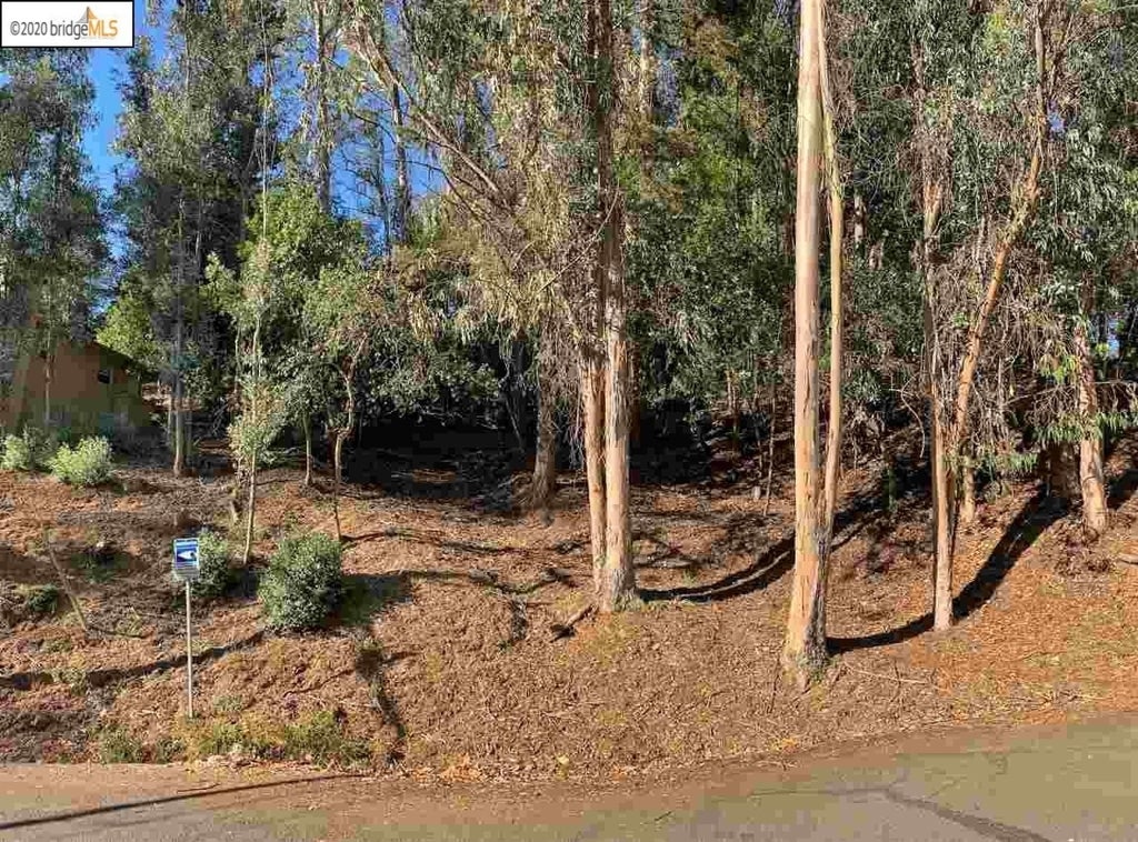 Photo of Listing #41123434