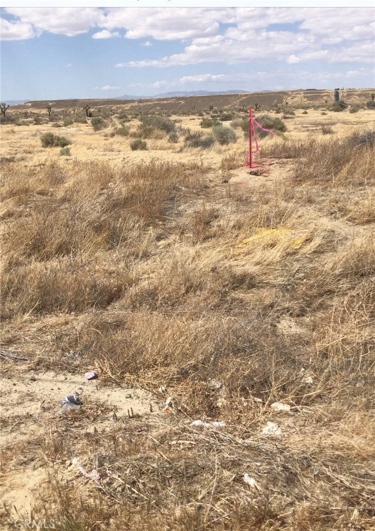 Photo of Listing #PW26029529