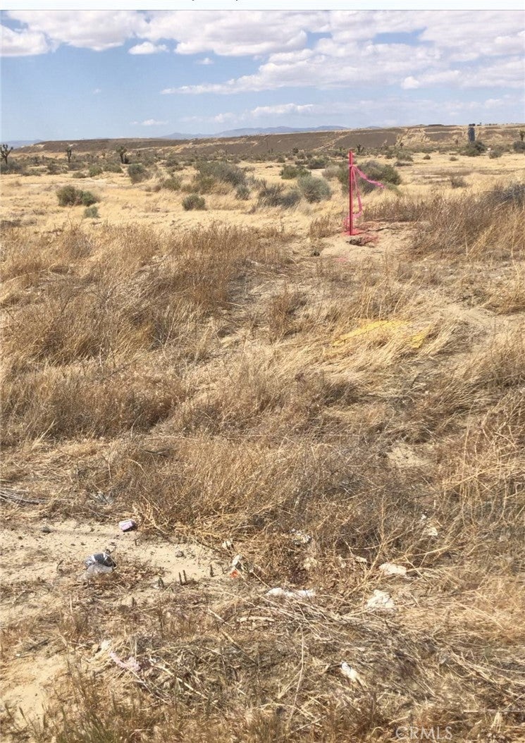 Photo of Listing #PW26029597