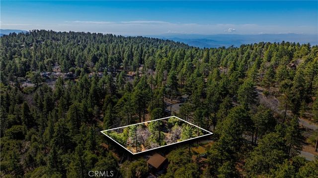 1 Mountain View Drive, Idyllwild
