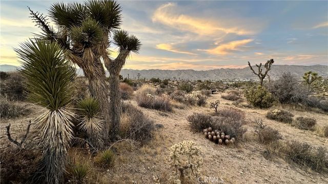 55370 Bunny Road, Yucca Valley