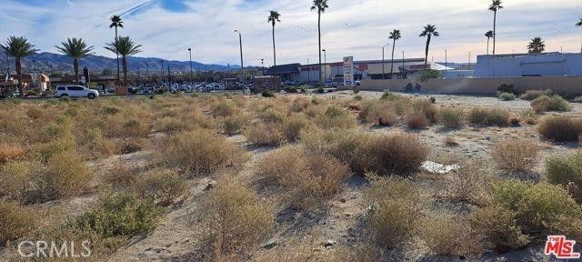 Palm, Desert Hot Springs