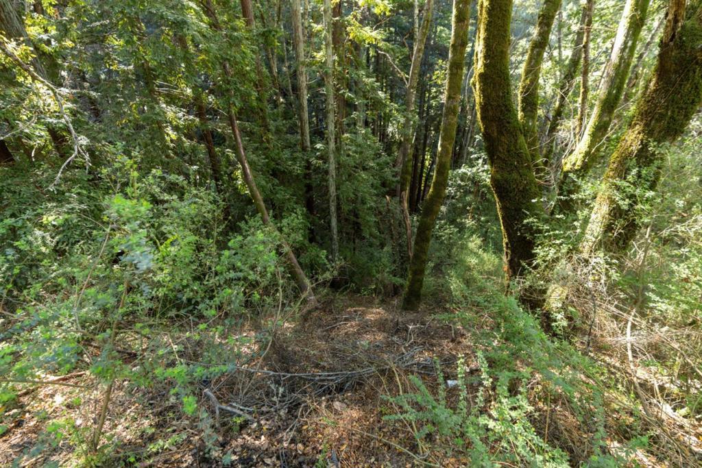 Photo of Listing #ML82034572