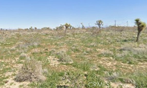 Photo of Listing #OC26031553