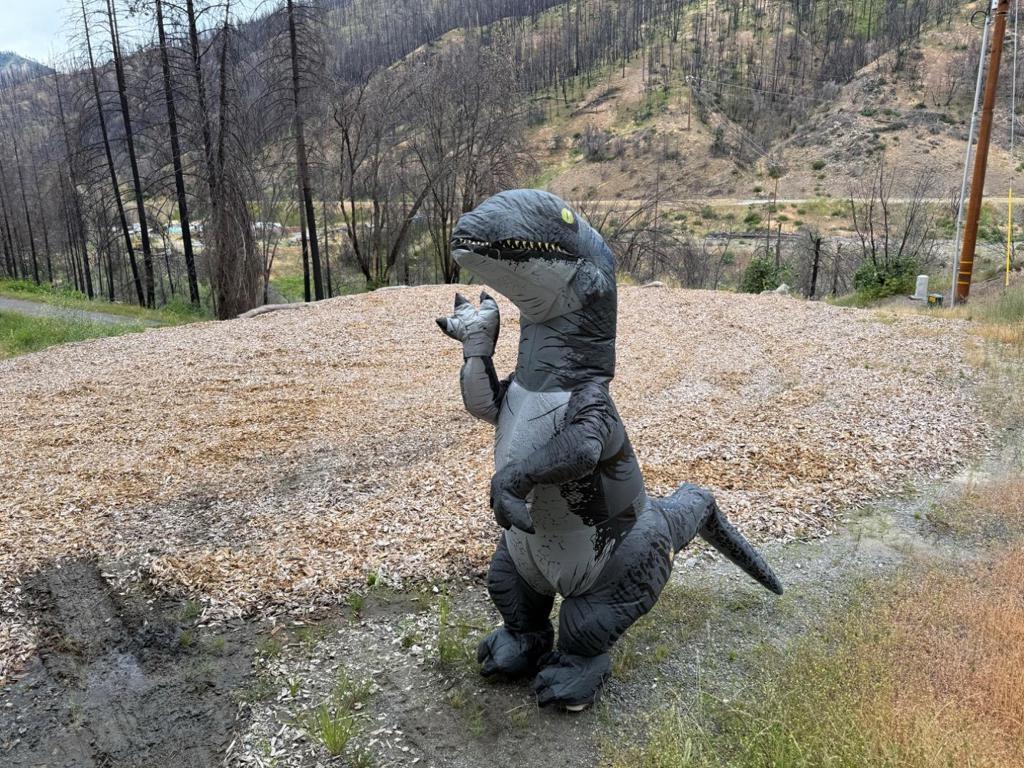 Photo of Listing #ML82034713