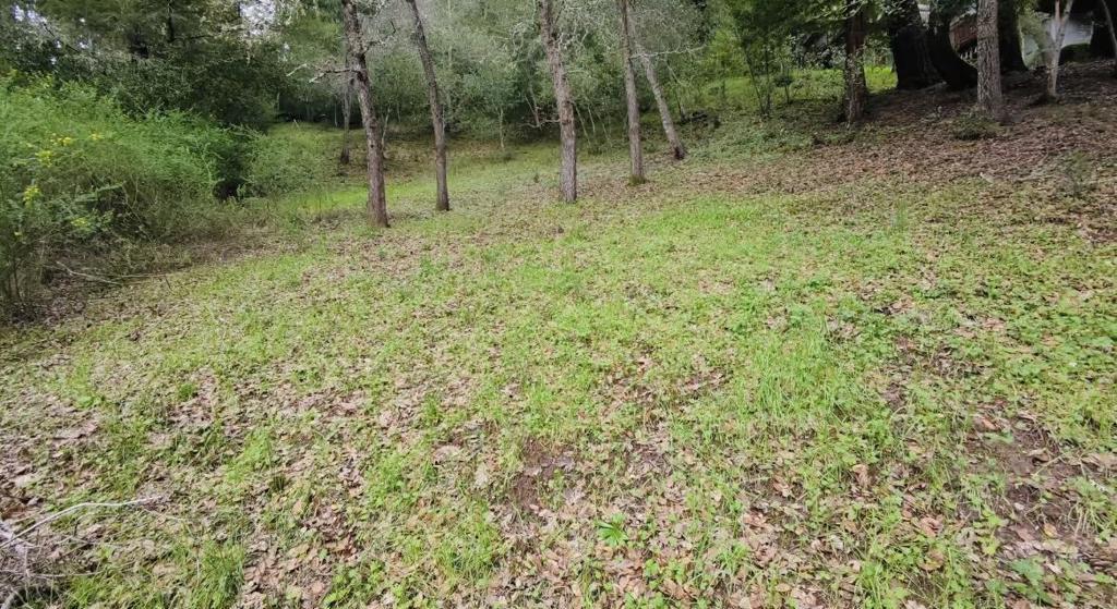 Photo of Listing #ML82034770