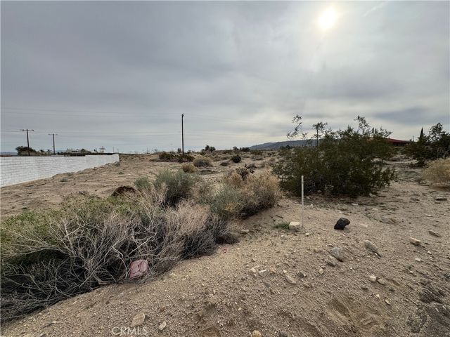 Elm (tamarisk), 29 Palms