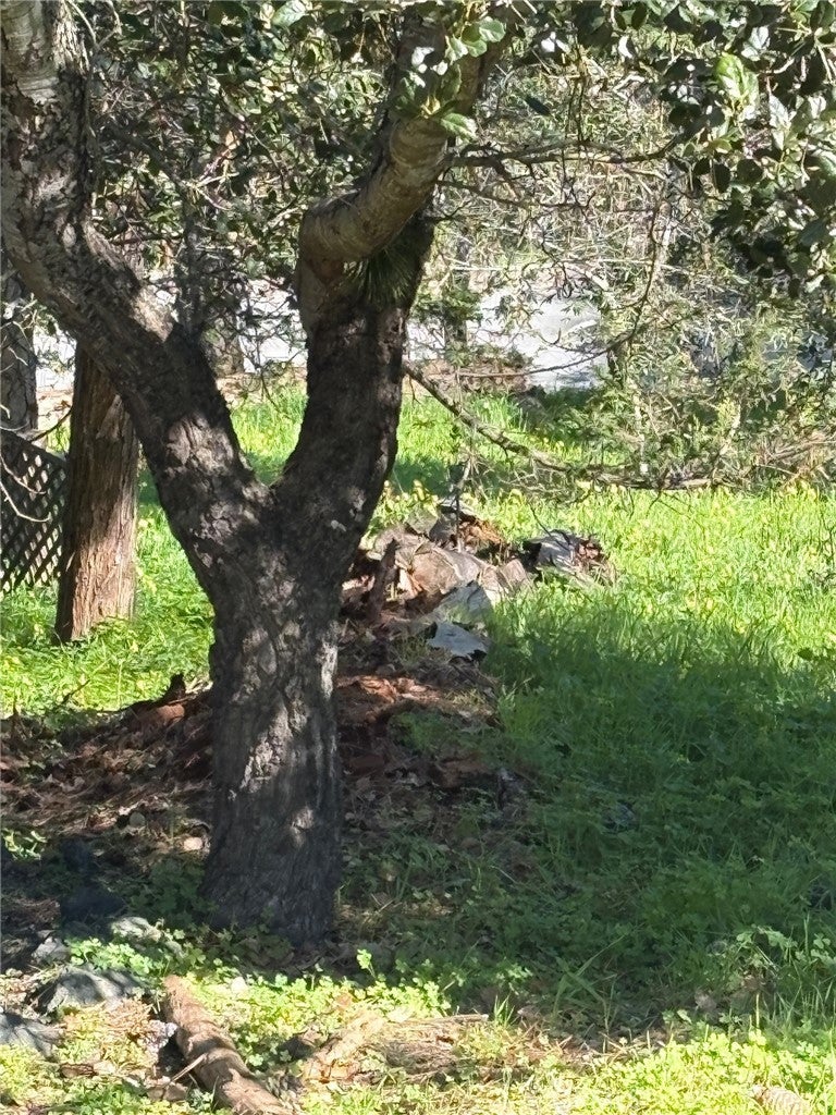 Photo of Listing #PI26033771