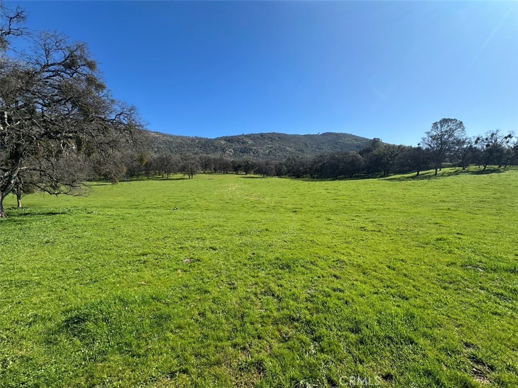 Photo of Listing #MP26032622