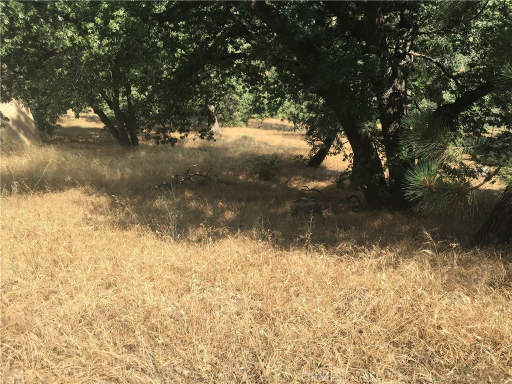 Photo of Listing #HD26034504