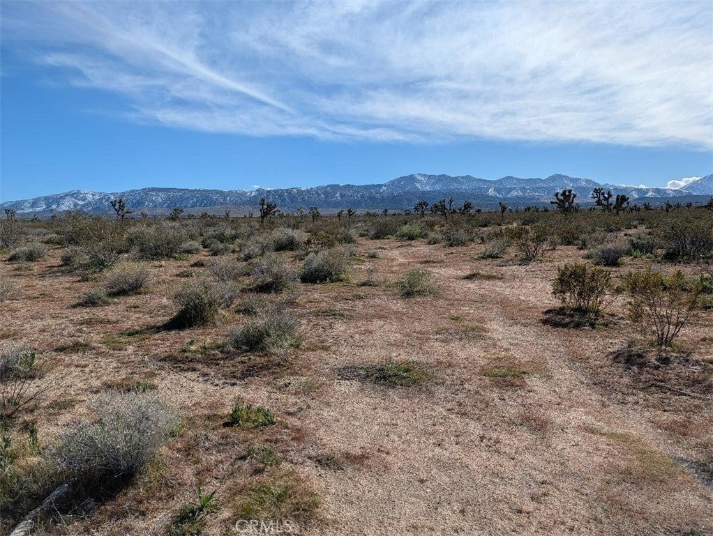 Photo of Listing #IV26035219