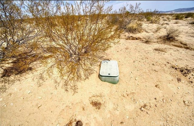 Brant Crossing Rd, Joshua Tree