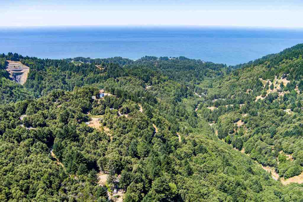 Photo of Listing #41124226