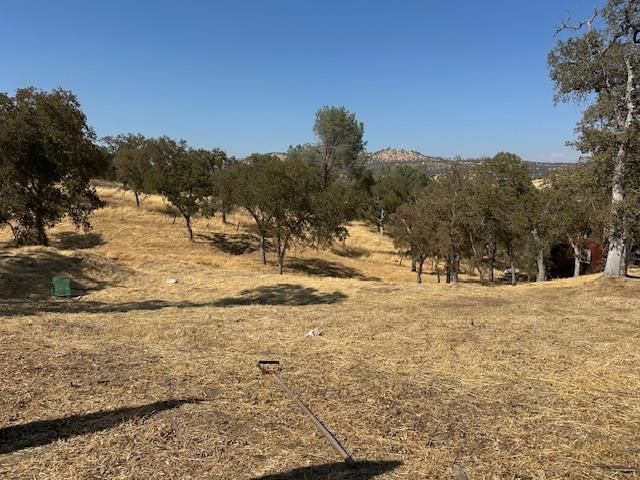 4227 Council Trail, Copperopolis