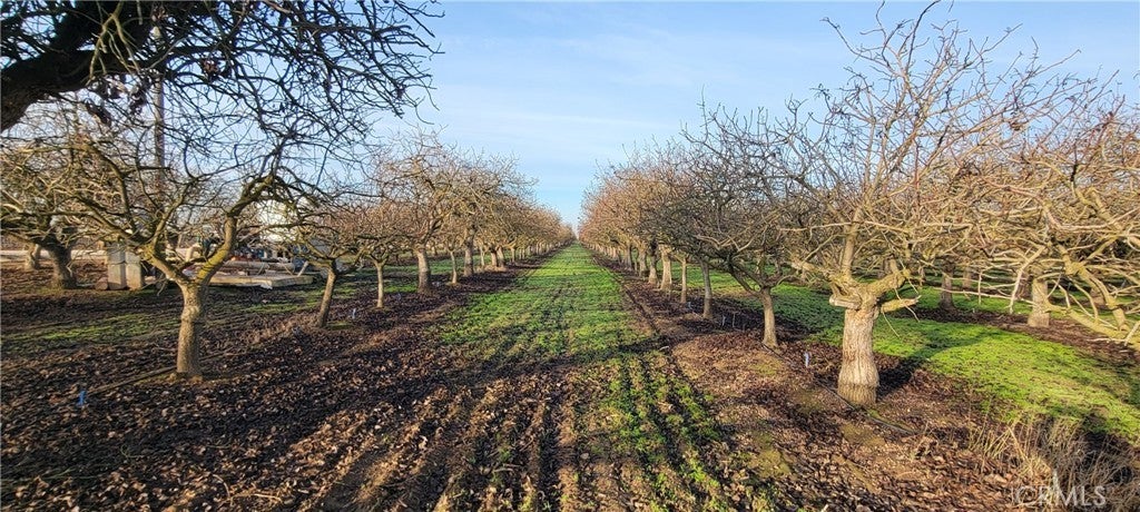 Photo of Listing #MD26035901