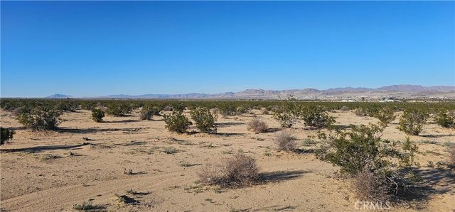 Mesquite Springs, 29 Palms
