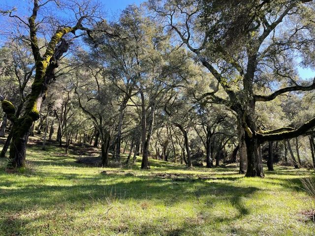 10 Garzas Trail, Carmel