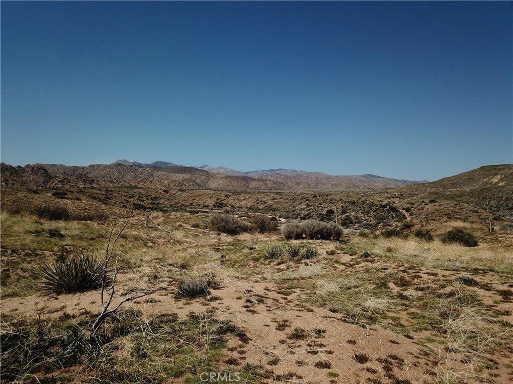 Photo of Listing #PW26036900