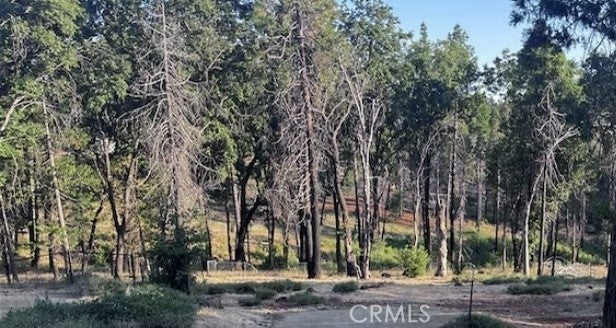 Photo of Listing #SN26037381