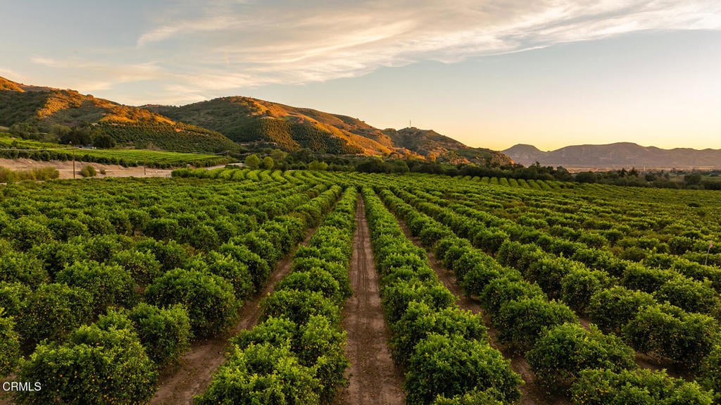 Photo of Listing #V1-34754