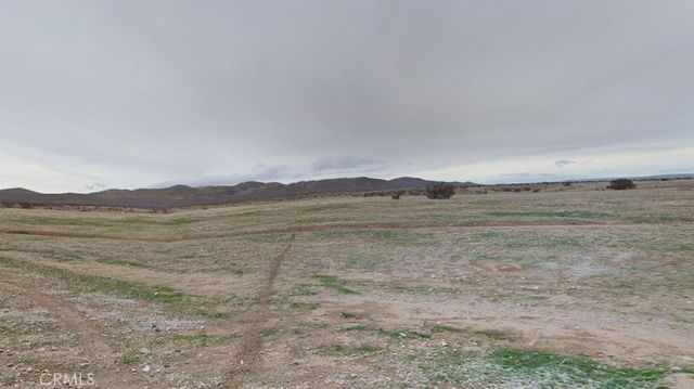 Wild Wash, Barstow