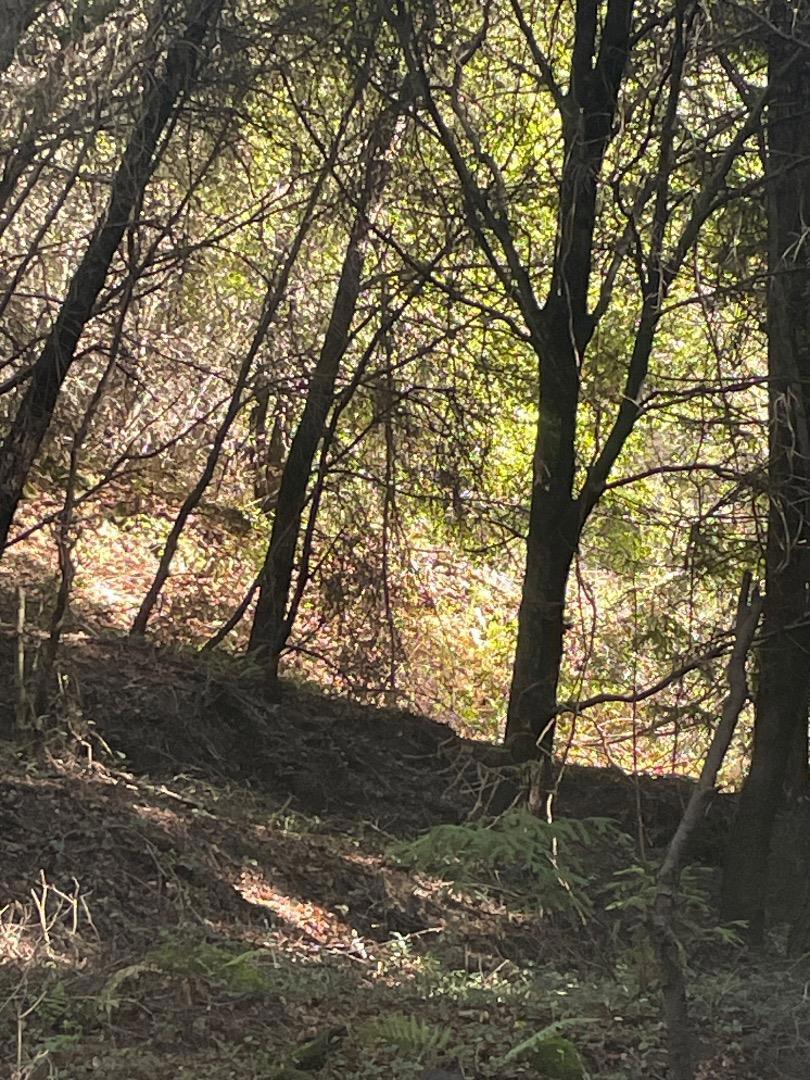 Photo of Listing #ML82033877