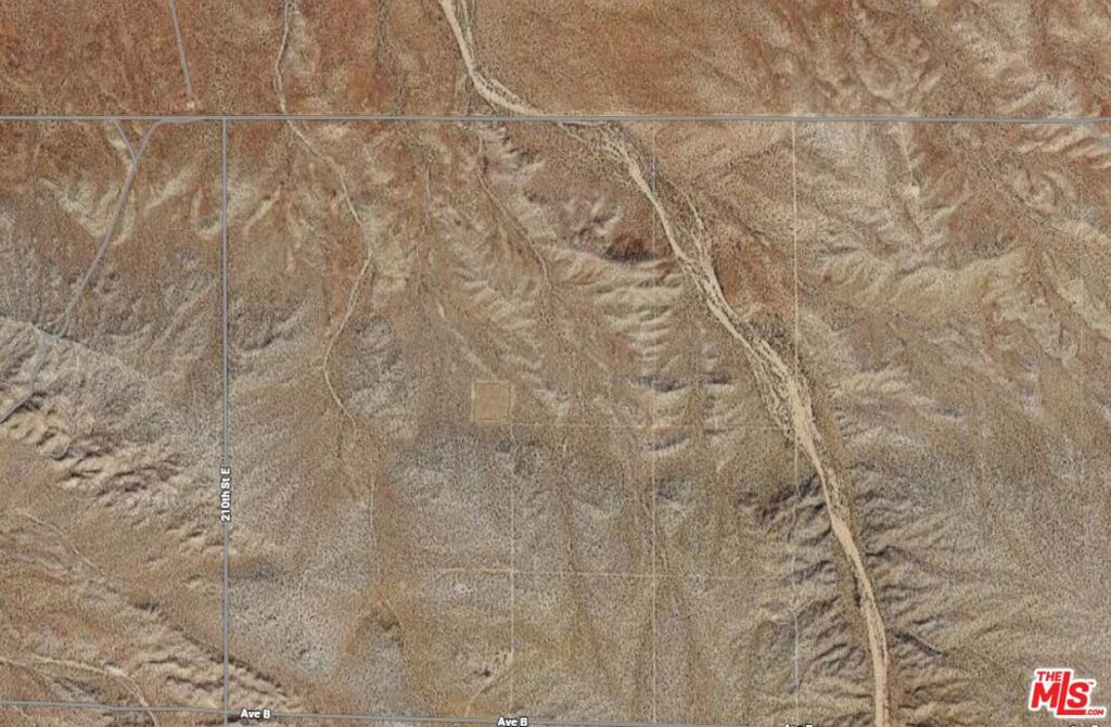 Photo of Listing #26653989