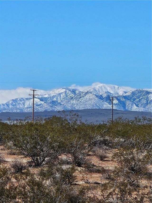 Avenida Del Sol, Joshua Tree