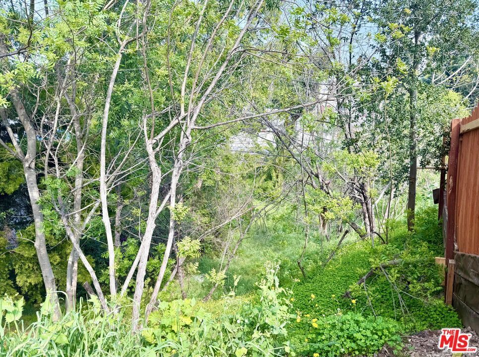 Photo of Listing #26653417