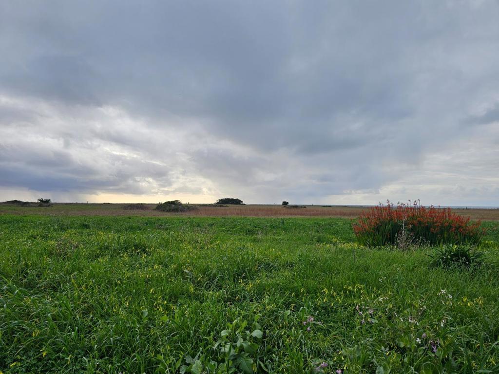 Photo of Listing #ML82035704