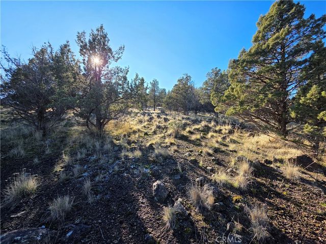 25 Quail Ridge, Weed