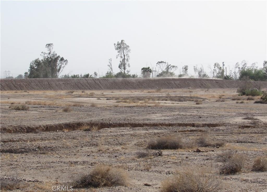 Photo of Listing #IG26039314