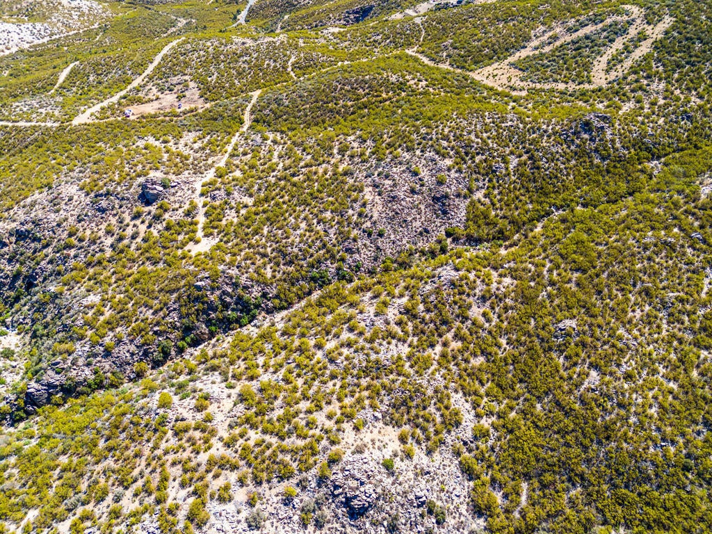 Photo of Listing #219143661DA