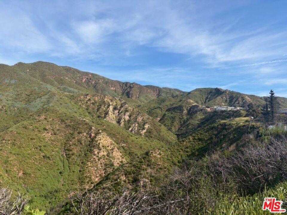 Photo of Listing #26655487