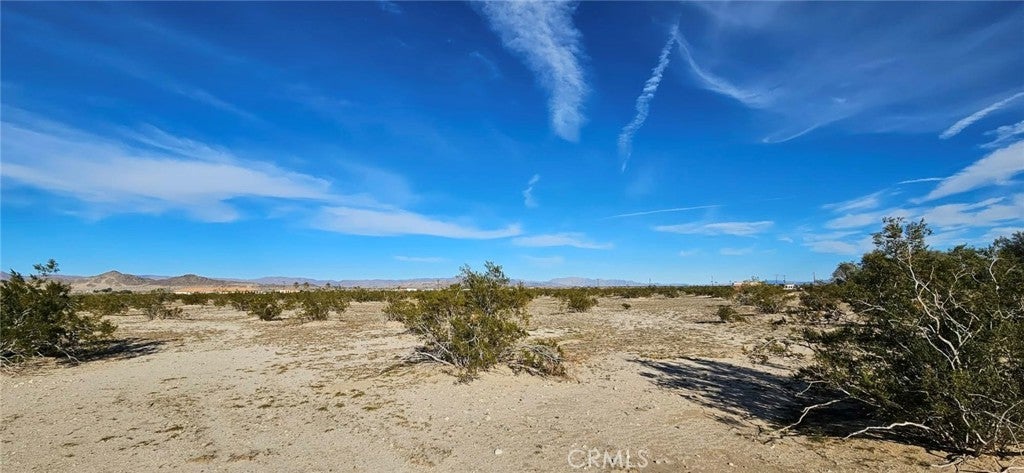 Photo of Listing #HD26039913