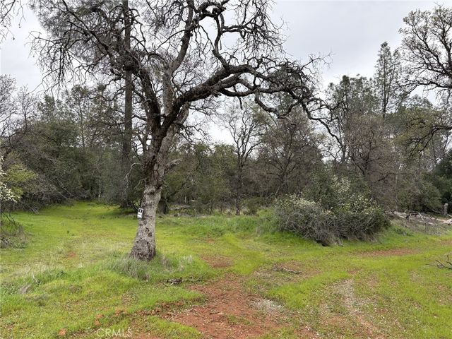 Highlands Boulevard, Oroville