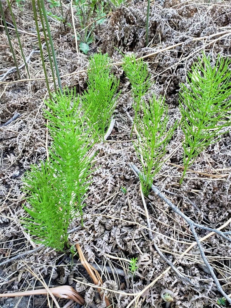 Photo of Listing #WS26040295