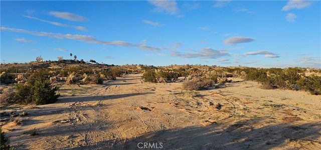 Nicolson, 29 Palms