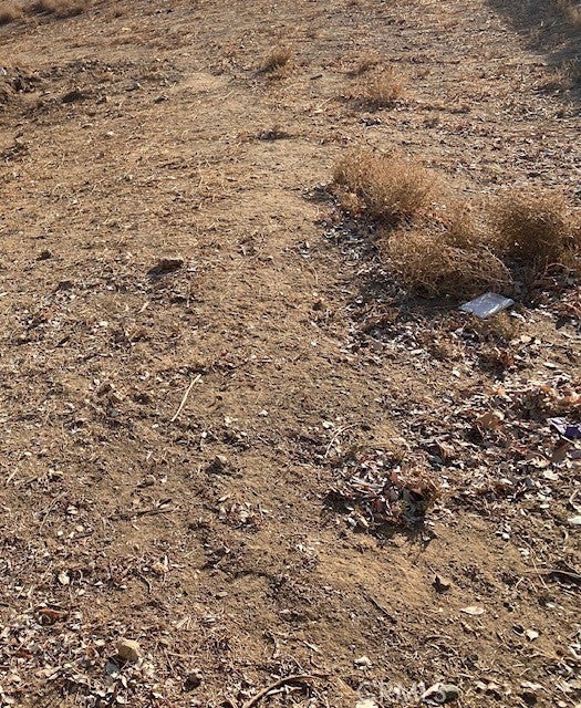 Photo of Listing #PW26040704