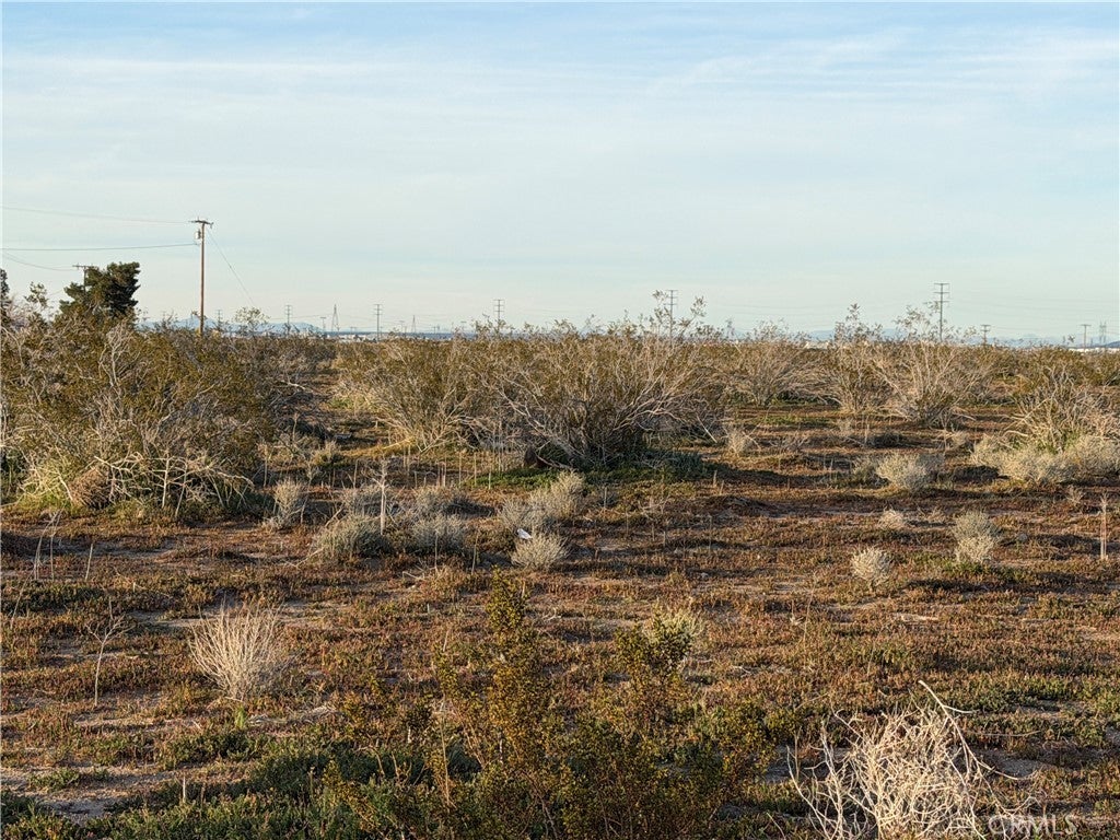 Photo of Listing #HD26040748