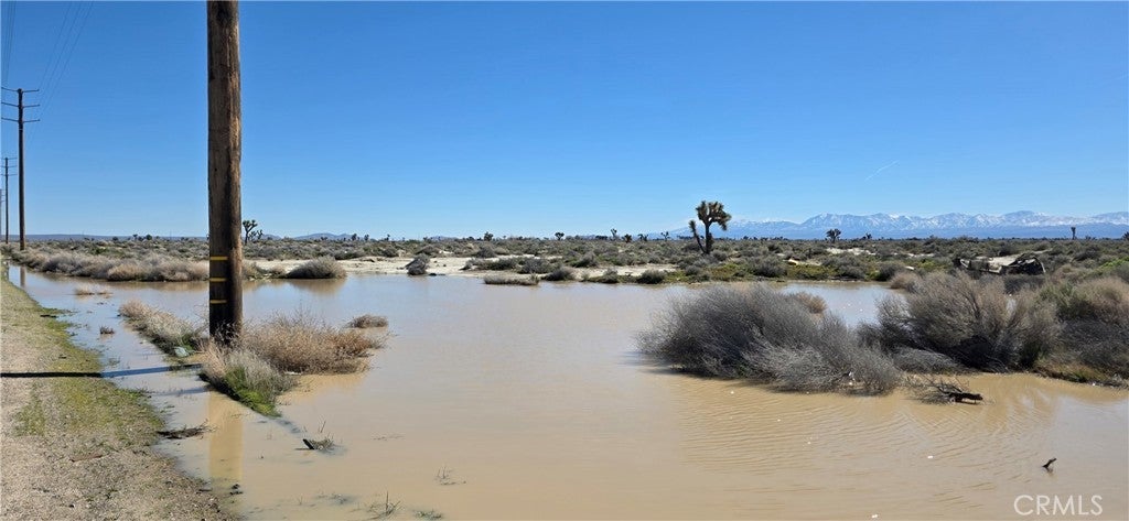 Photo of Listing #IV26041126