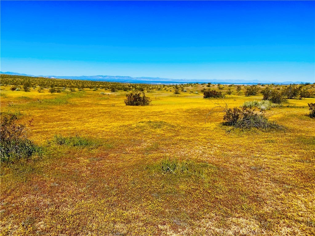 Photo of Listing #SB26040852